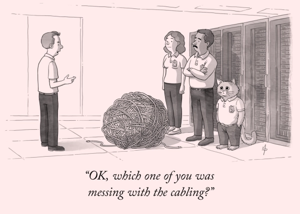 A cartoon-style illustration of a man looking for an explanation as to why there is a large tangled network wire that resembles a huge ball in the middle of the data center floor. The furious man addresses three of his coworkers as suspects: a woman, a man, and a cat. "OK, which one of you was messing with the cabling?" the man asks.