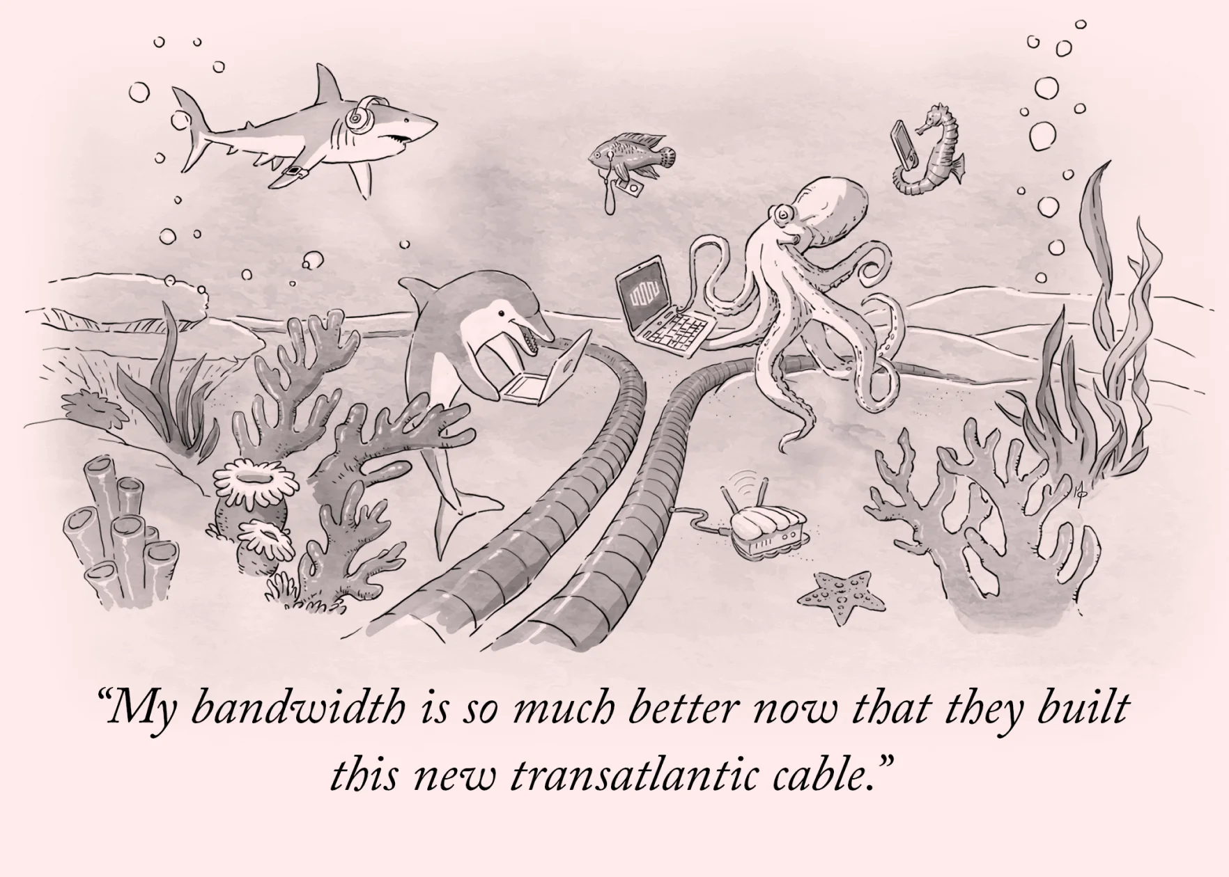 A cartoon-style illustration of an underwater scene. Marine life is gathered around a Transatlantic cable with their Laptops and other digital devices. The caption reads: My bandwidth is so much better now that they built this new transatlantic cable.