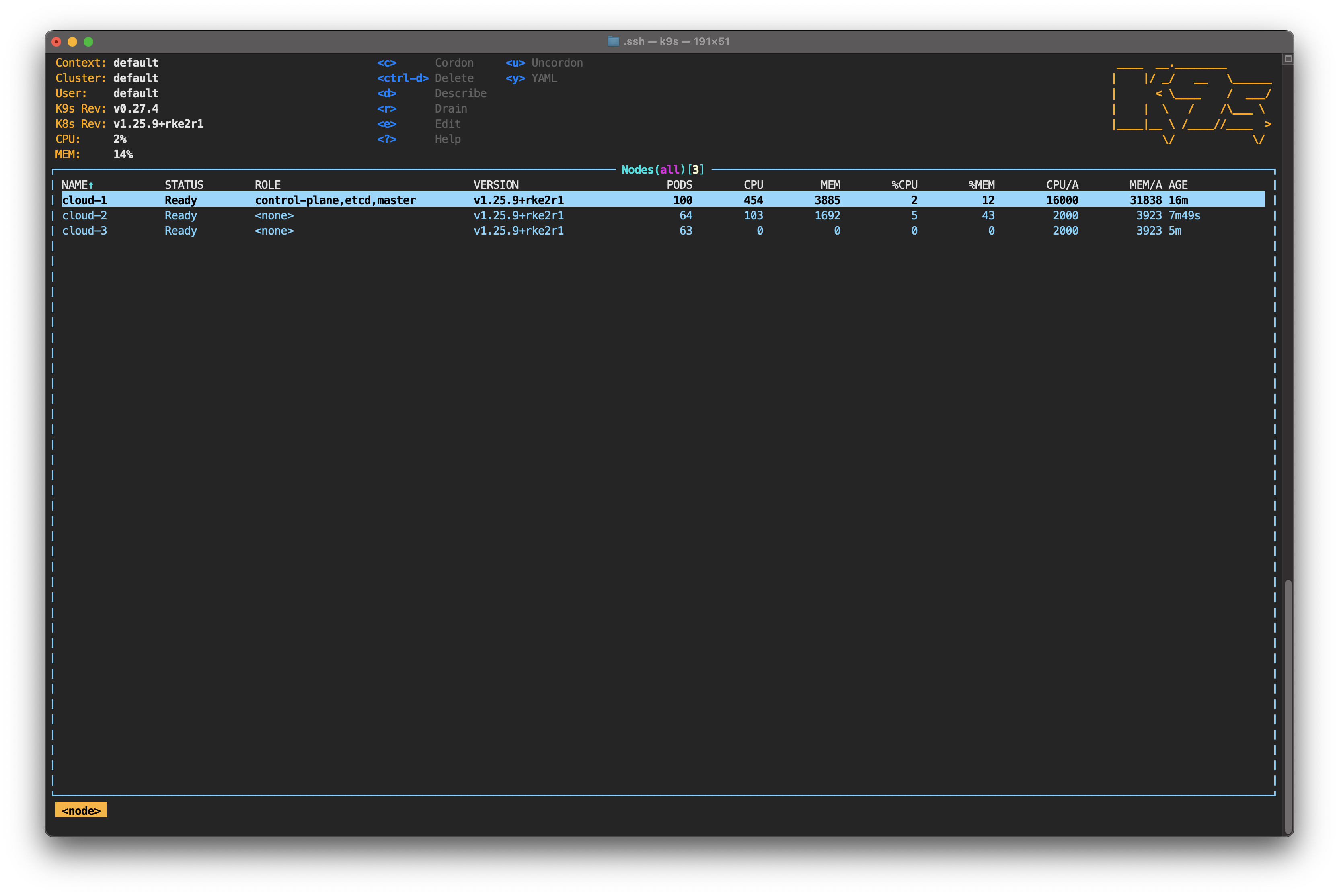 k9s node screen