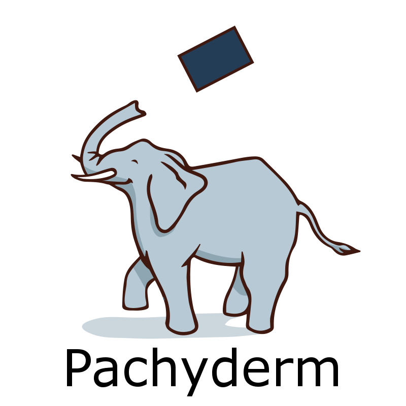 Pachyderm