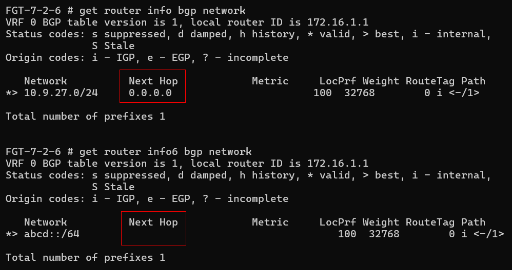 Screenshot of a BGP table showing locally originating IPv4 and IPv6 paths