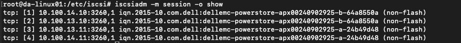 terminal-iscsi-session-show