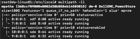 terminal-linux-multipath-on