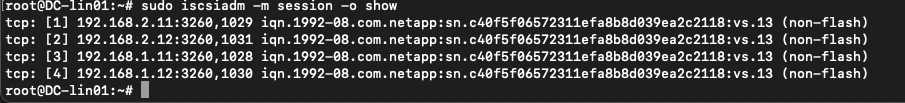 iscsi-session-show