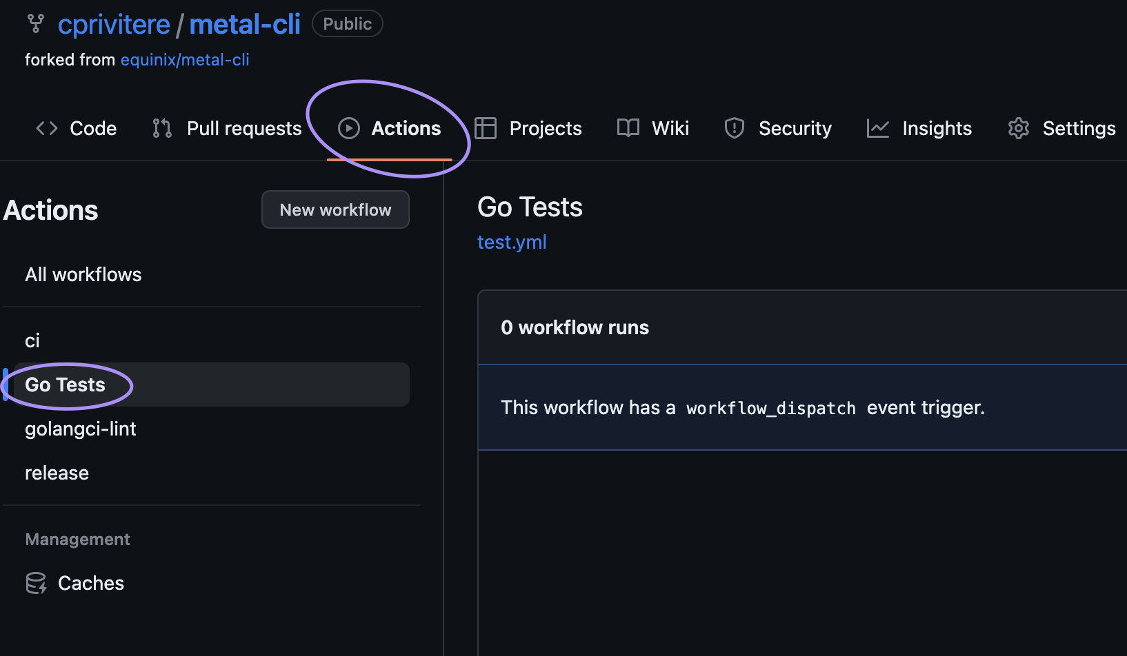 Metal CLI Actions Go Tests Screenshot