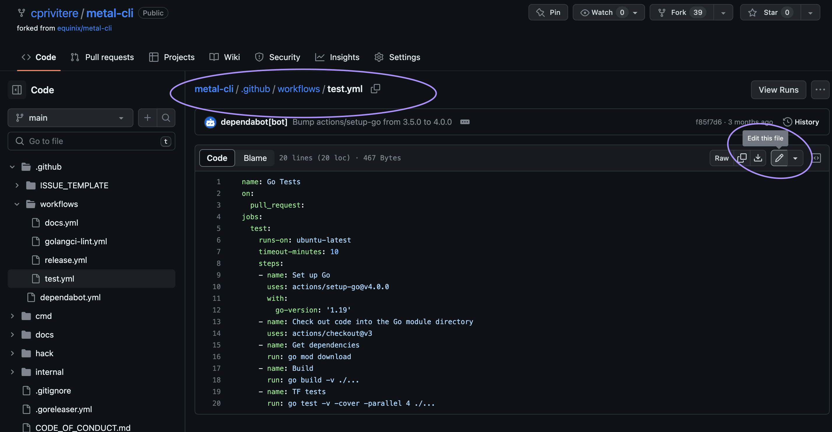 Metal CLI Github Actions Workflow Edit Screenshot