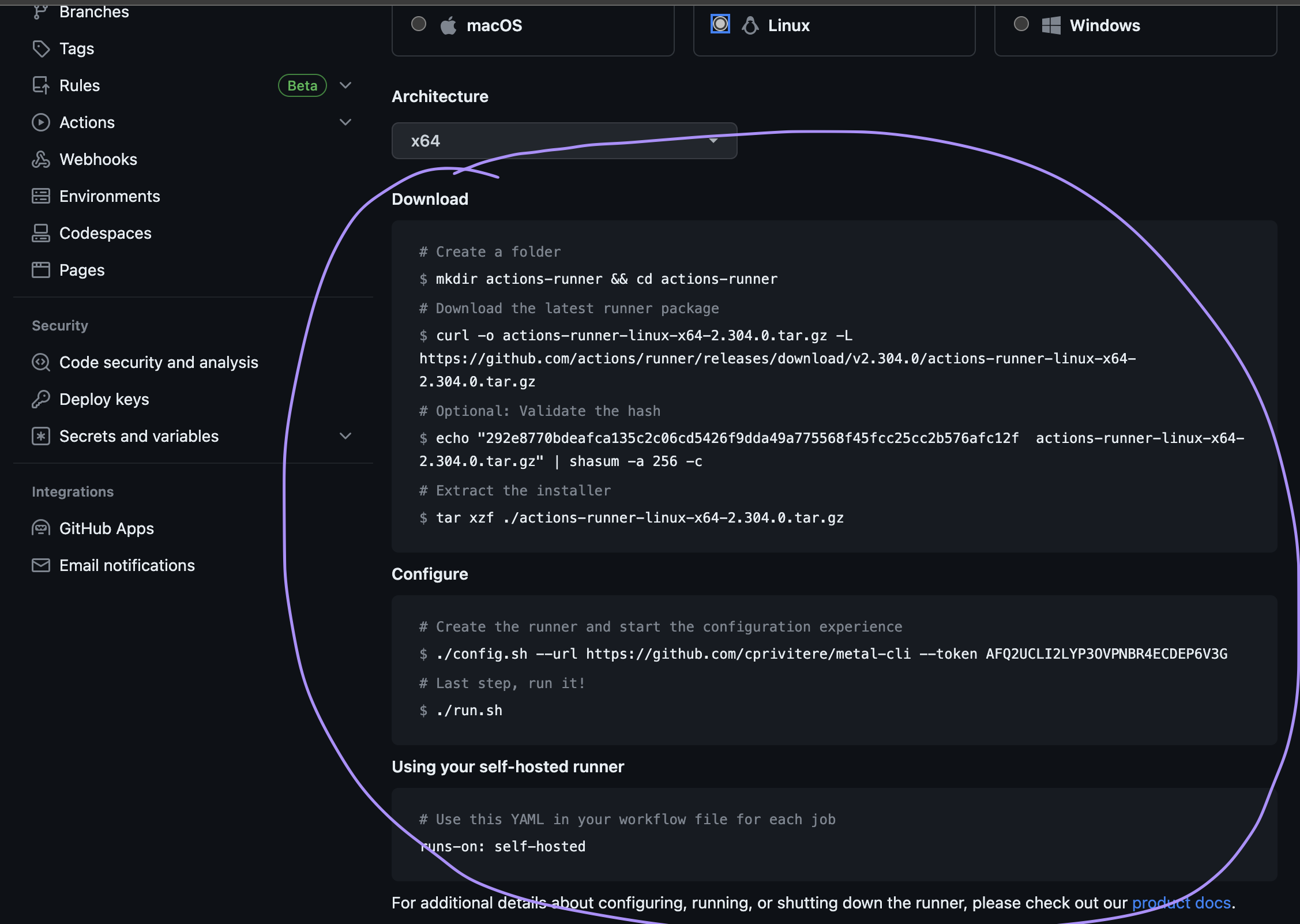 Metal CLI Settings Runner Instructions Screenshot